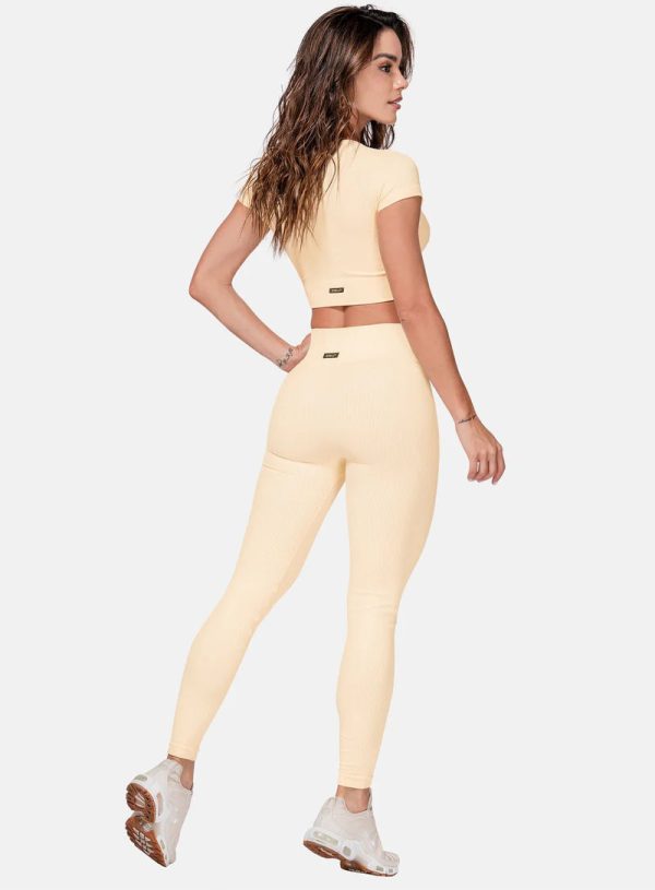 SIN COSTURA LEGGINGS UN TAMAÑO REF:105743