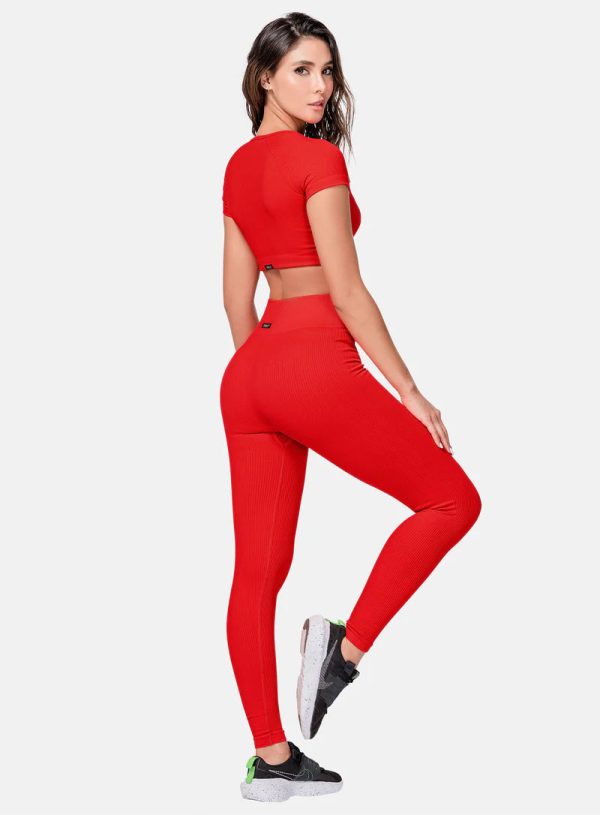 SIN COSTURA LEGGINGS UN TAMAÑO REF:105743