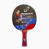 RAQUETA PING PONG REGENT 3 ESTRELLA