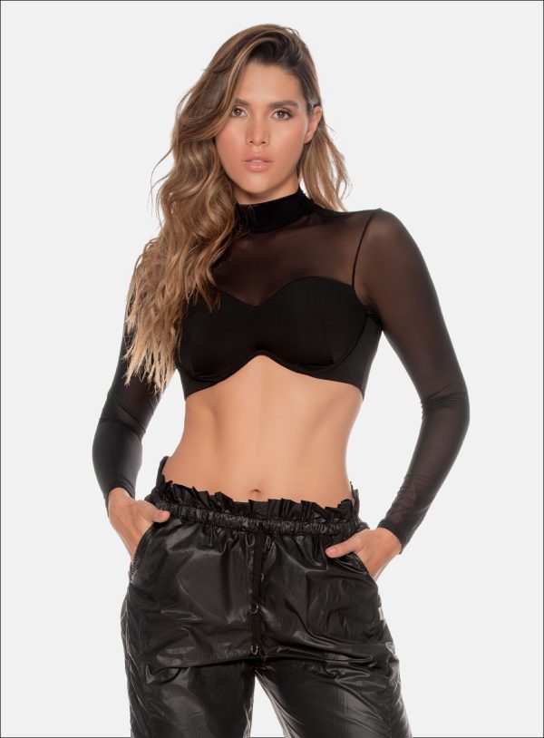 top 110213